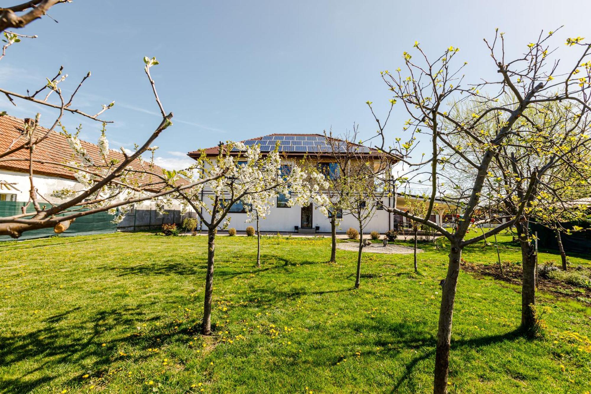 Gasthaus Sacalaz Hotel ทิมิชัวรา ภายนอก รูปภาพ